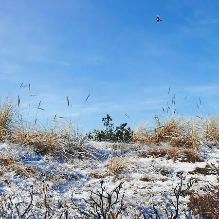Kis Fanø